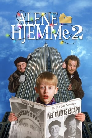 Alene hjemme 2 - Glemt i New York 1992