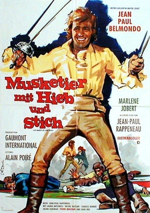 Image Musketier mit Hieb und Stich