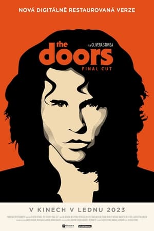 Poster The Doors 1991