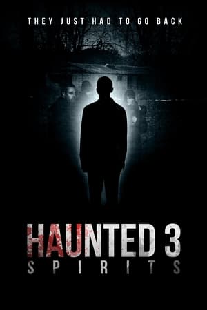 Image Haunted 3: Spirits