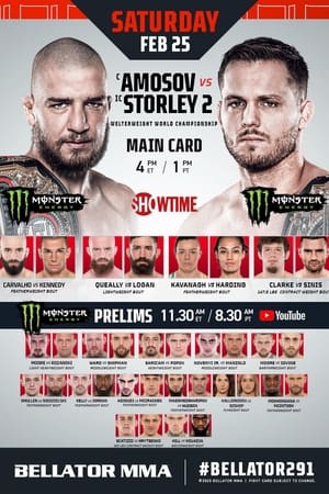 Image Bellator 291: Amosov vs. Storley 2