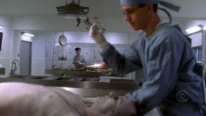 NCIS Season 3 :Episode 19  Iced