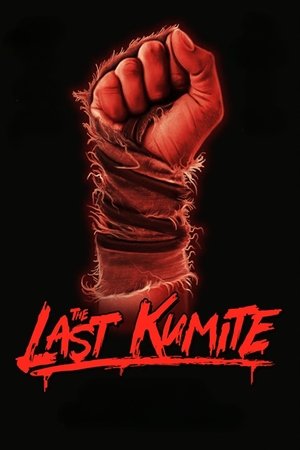 Image The Last Kumite