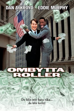 Image Ombytta roller