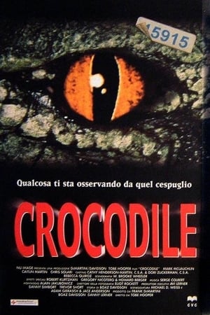 Poster Crocodile 2000