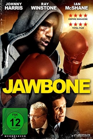 Image Jawbone