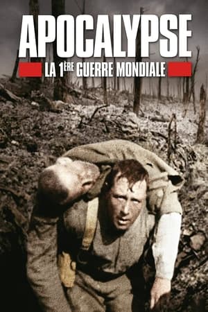 Image Apocalypse : La 1ère Guerre mondiale