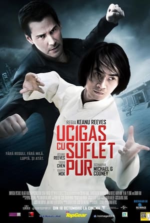 Poster Ucigaș cu suflet pur 2013