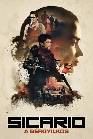 Image Sicario - A bérgyilkos