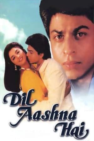 Poster Dil Aashna Hai 1992