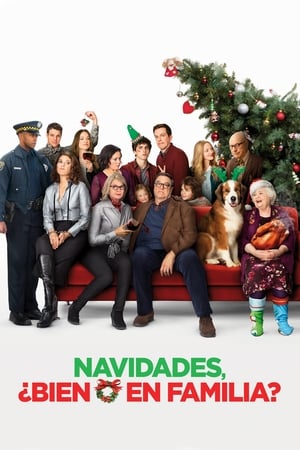 Poster Navidades, ¿bien o en familia? 2015