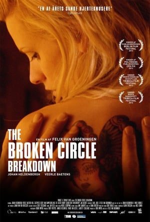 The Broken Circle Breakdown 2012