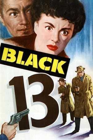 Image Black 13