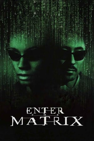 Making 'Enter the Matrix' 2003