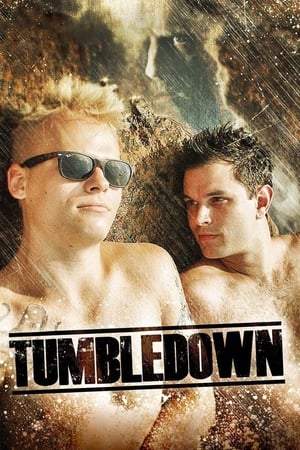 Poster Tumbledown 2013