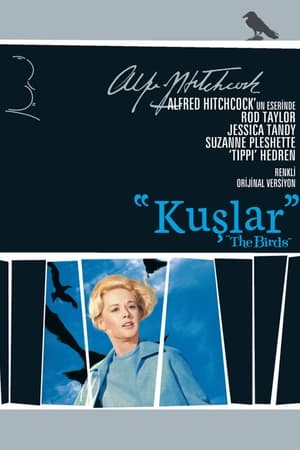 Poster Kuşlar 1963