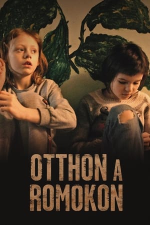 Image Otthon a romokon