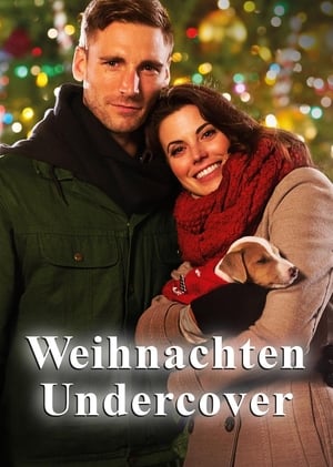 Weihnachten Undercover 2015