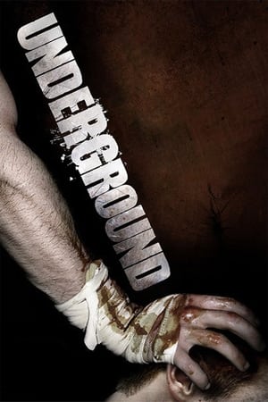 Poster Underground 2007