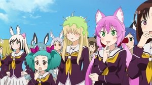 成群结伴!西顿学园 Season 1 Episode 1