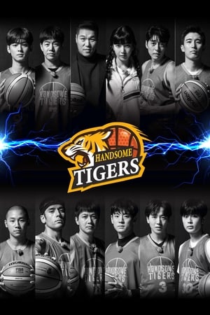 Poster Handsome Tigers 2020