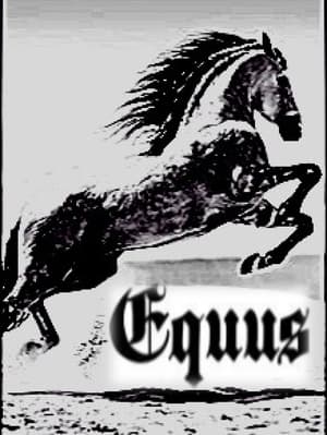 Image Equus