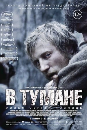 В тумане 2012