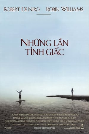 Image Những Lần Tỉnh Giấc