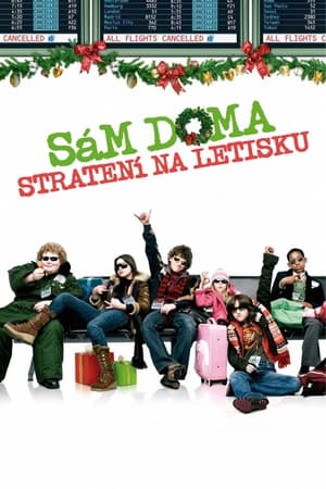 Poster Sám doma: Stratení na letisku 2006