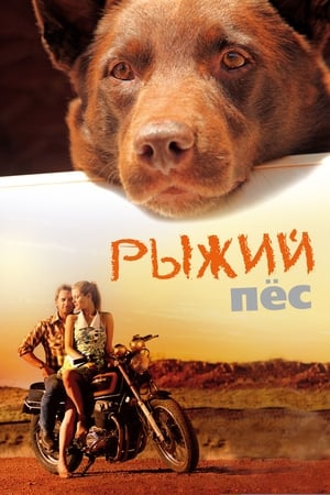 Poster Рыжий пёс 2011