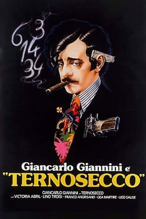 Poster Ternosecco 1987
