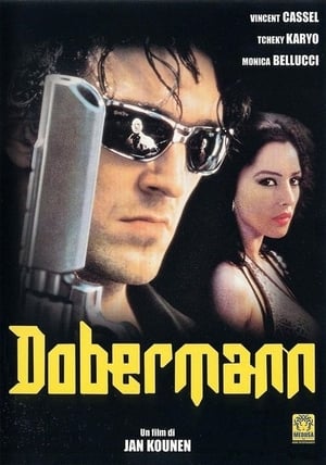 Poster Dobermann 1997