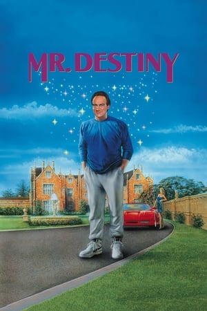Poster Mr. Destiny 1990
