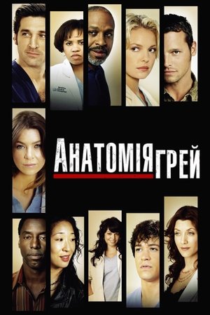 Poster Анатомія Ґрей 2005