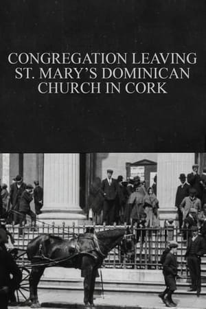 Télécharger Congregation Leaving St. Mary's Dominican Church in Cork ou regarder en streaming Torrent magnet 