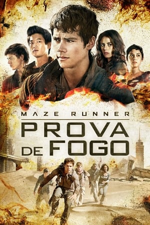 Maze Runner: Provas de Fogo 2015