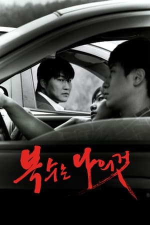 Poster 복수는 나의 것 2002