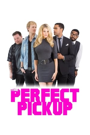 Poster The Perfect Pickup 2018