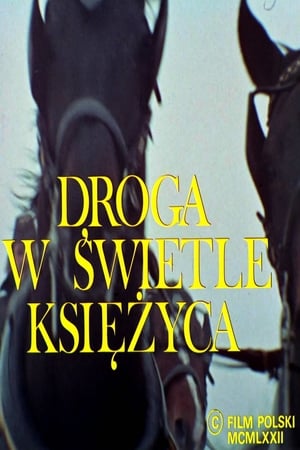 Image Droga w świetle księżyca