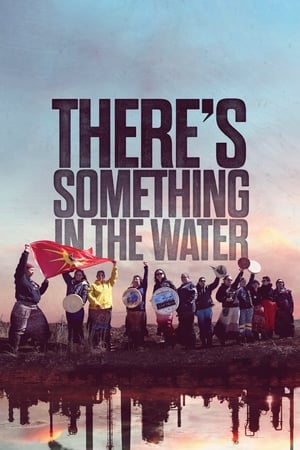 Poster There's Something in the Water 2019