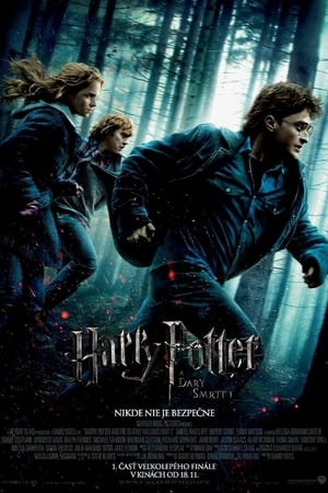 Poster Harry Potter a Dary smrti - 1. 2010