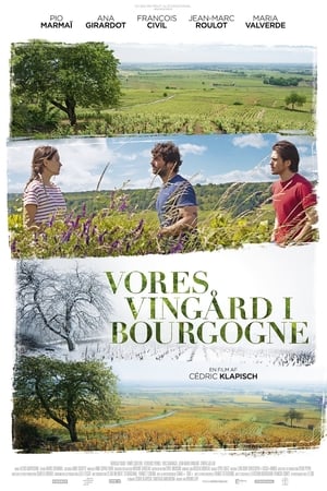 Vores vingård i Bourgogne 2017