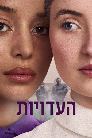 העדויות