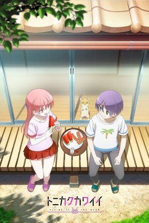 Imagen Tonikaku Kawaii 2