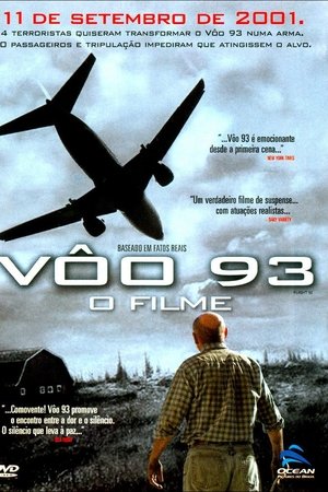 Vôo 93
