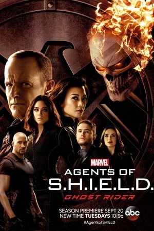 Baixar Serie Agents of S.H.I.E.L.D. 4ª Temporada Legendado Baixar Serie Agents of S.H.I.E.L.D. 4ª Temporada Legendado via Torrent