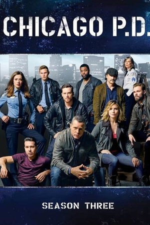 Baixar Serie Chicago P.D. 3ª Temporada Completa (2014) Bluray 720p Dual Audio Baixar Serie Chicago P.D. 3ª Temporada Completa (2014) Bluray 720p Dual Audio via Torrent
