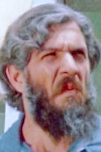 33568