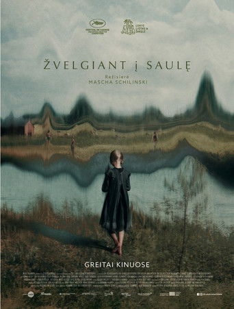 Žvelgiant į saulę