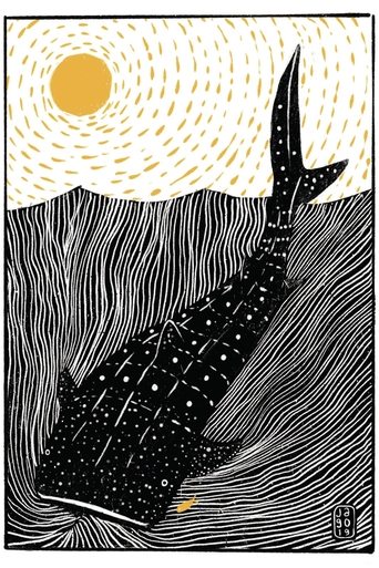 The Whale